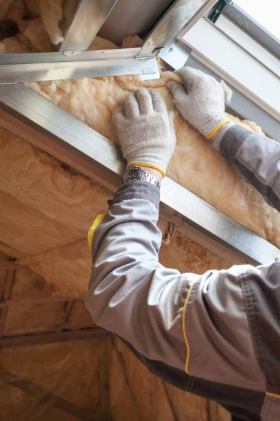 Best Commercial Insulation in Atkinson, IL