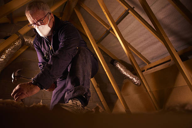 Best Energy Efficiency Solutions in Atkinson, IL