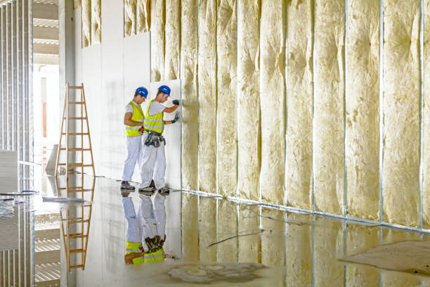 Best Commercial Insulation in Atkinson, IL